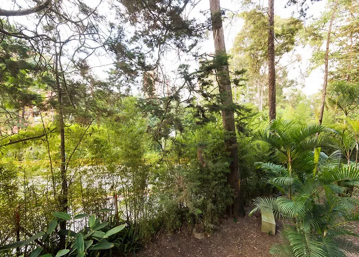 Foresta Hotel
